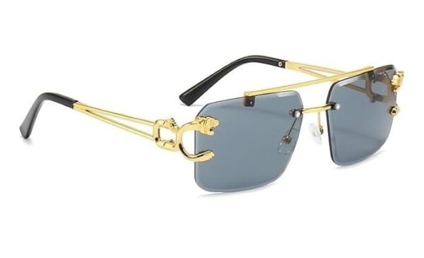 Lunettes de Soleil Luxieuse Mode Léopard - Image 3