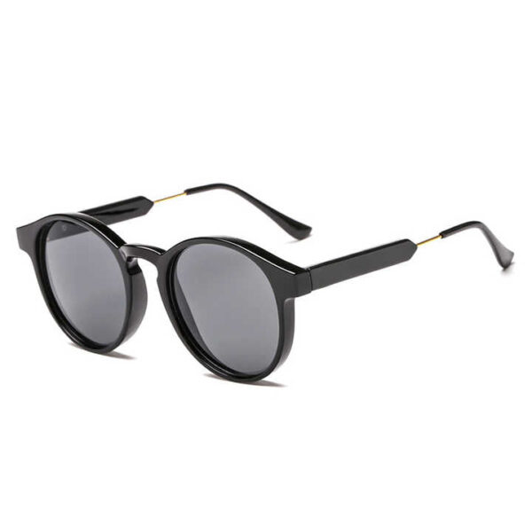 Lunettes de Soleil Rondes Transparentes Homme Femmes - Image 2