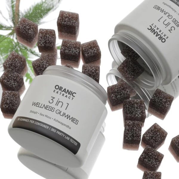 Gummies bien-être 3 en 1 ORGANIC EXTRACT